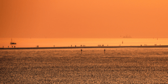 The Wadden Sea and Its Stakeholders