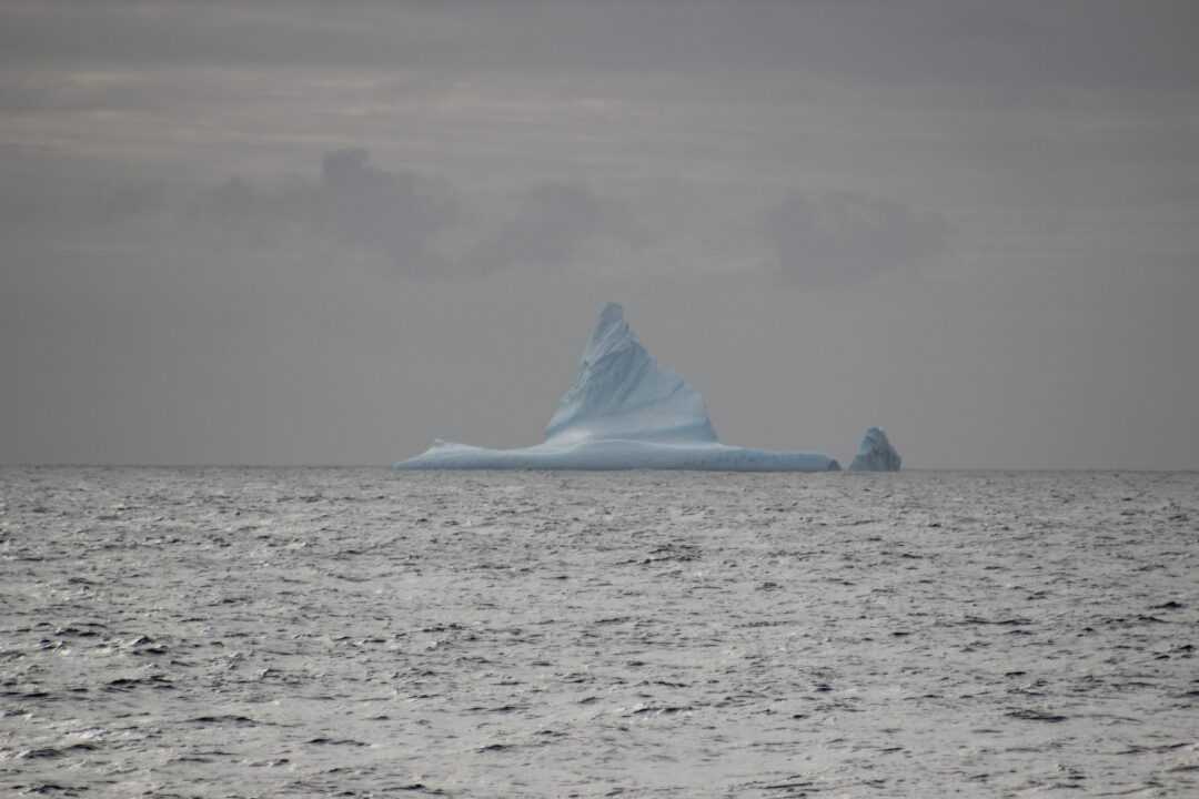 Iceberg