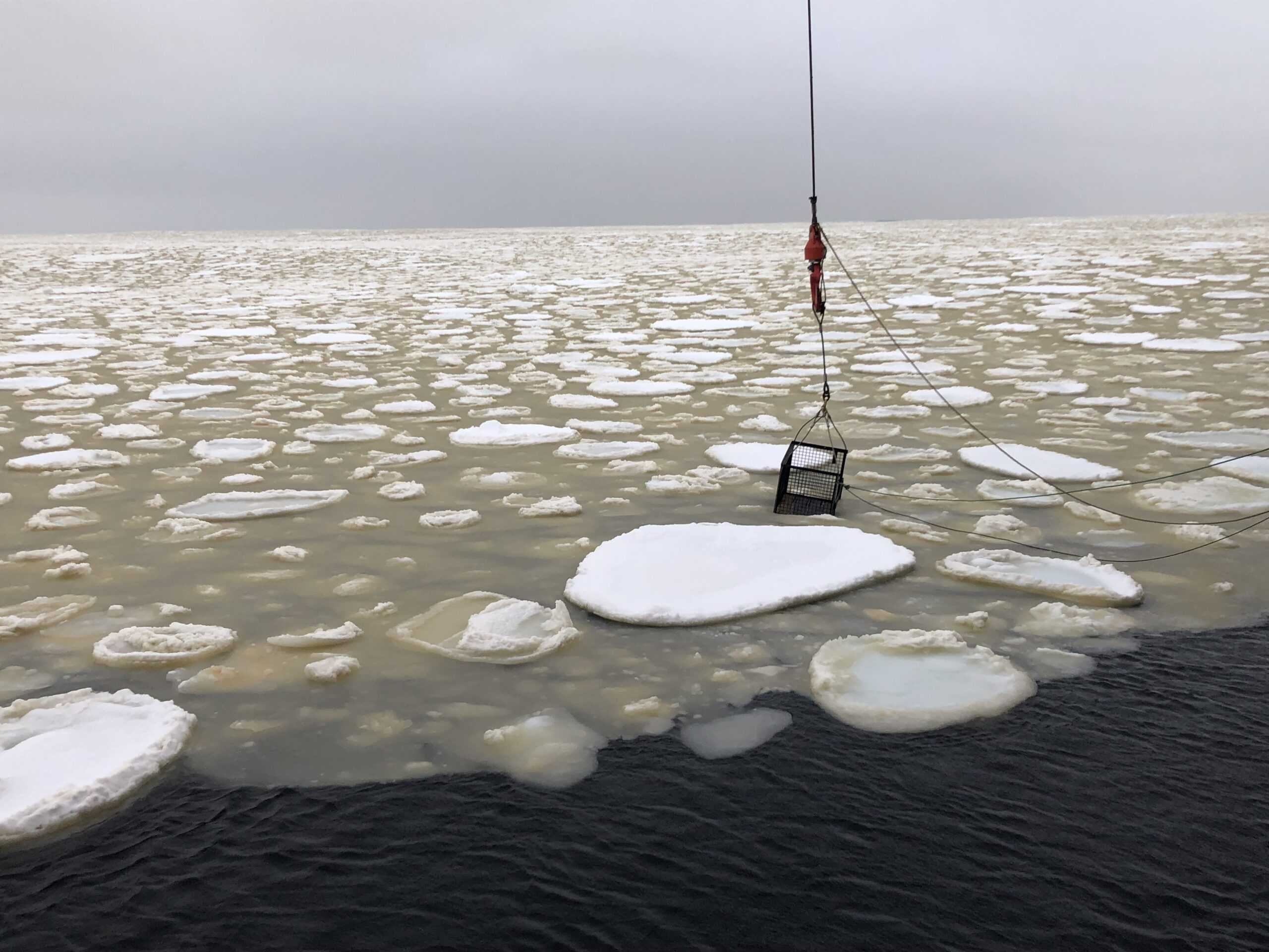 Collection of Sea Ice Samples, Photo: Irene Roca