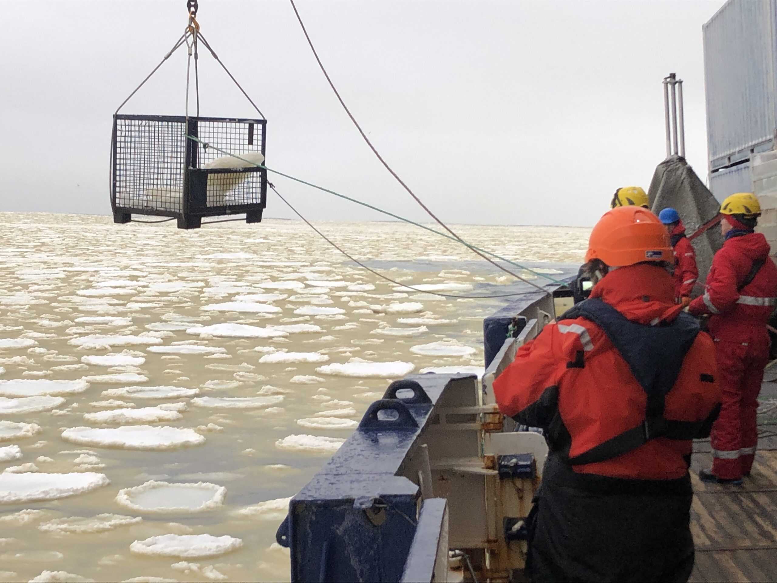 Collection of Sea Ice Samples, Photo: Irene Roca