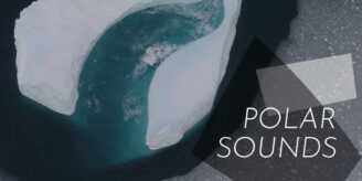 Polar Sounds: Die Klänge der arktischen und antarktischen Meere neu erleben