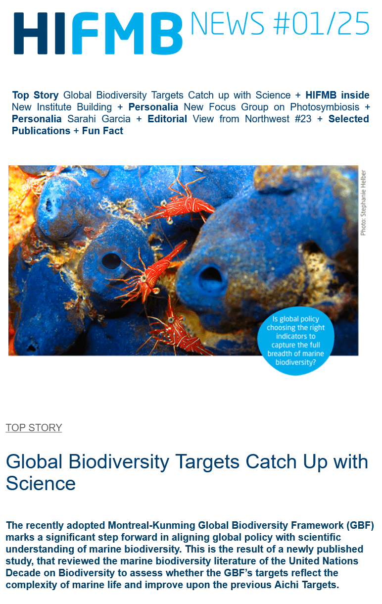 Screenshot of Newsletter #1/2025