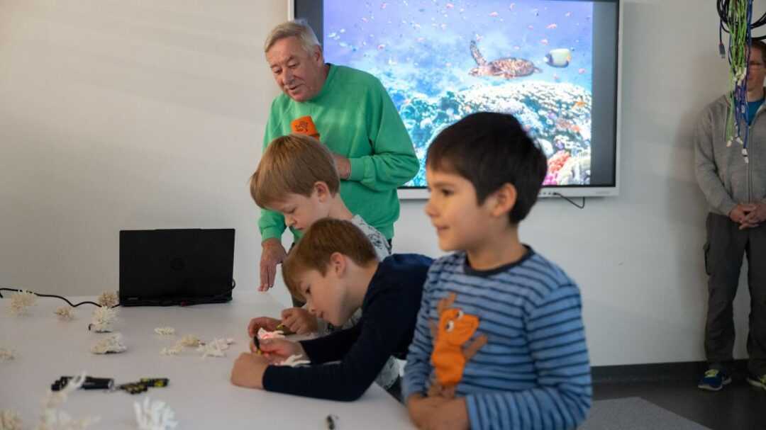 Kinder betrachten ein Korallenskelett