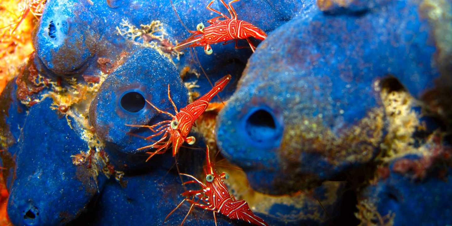 Photo: Stephanie Helber