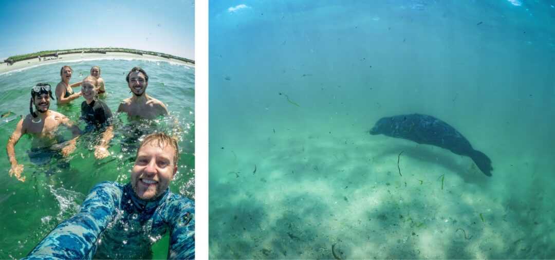 ON the left, there's a group selfie while swimming and on the left, you can see a seal underwater.